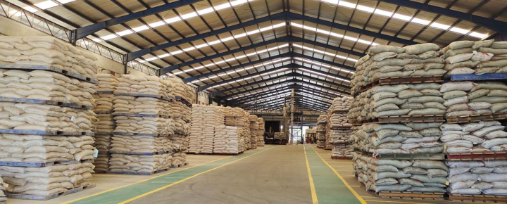 Harga Pakan Unggas Mulai Turun, Peluang Tekan Biaya Produksi Peternak