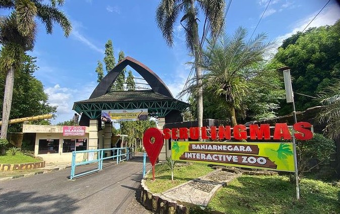 Serulingmas Zoo Banjarnegara, Destinasi Wisata Edukatif Favorit untuk Liburan Keluarga