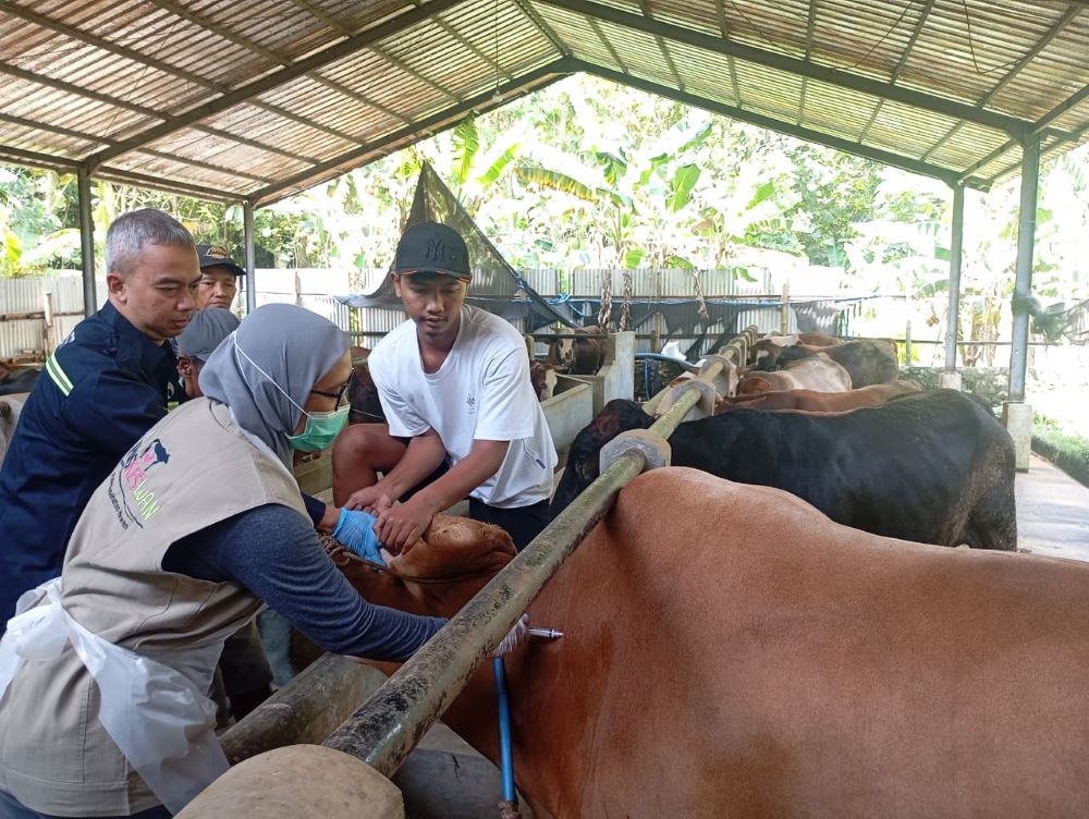 Healing Hadir di Grobogan, Puluhan Sapi Dapat Vaksin dan Pemeriksaan Gratis