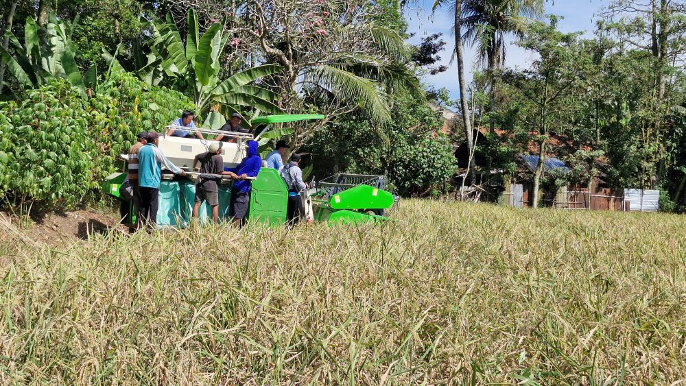 Kementan Bentuk 33 Balai Besar Modernisasi Pertanian di Seluruh Provinsi, Dorong Swasembada Pangan Berbasis Teknologi